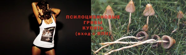 ГАЛЛЮЦИНОГЕННЫЕ ГРИБЫ Абдулино